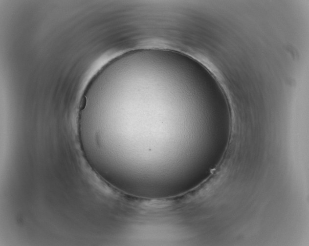 X0000115061008200911091442