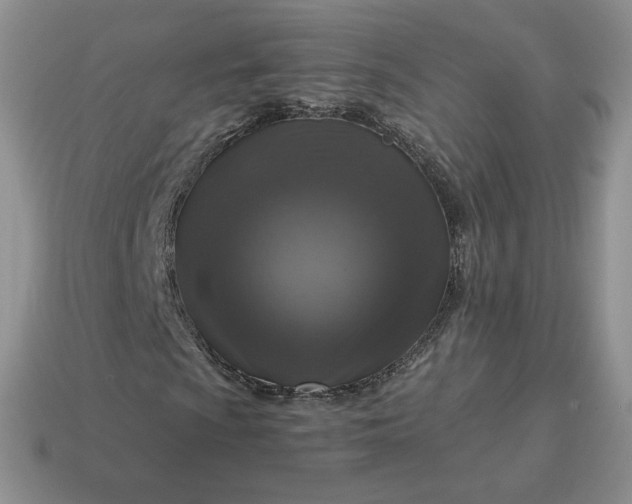 X0000115061009200911091441