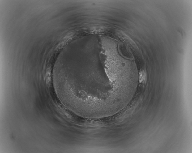 X0000115061011200911091441
