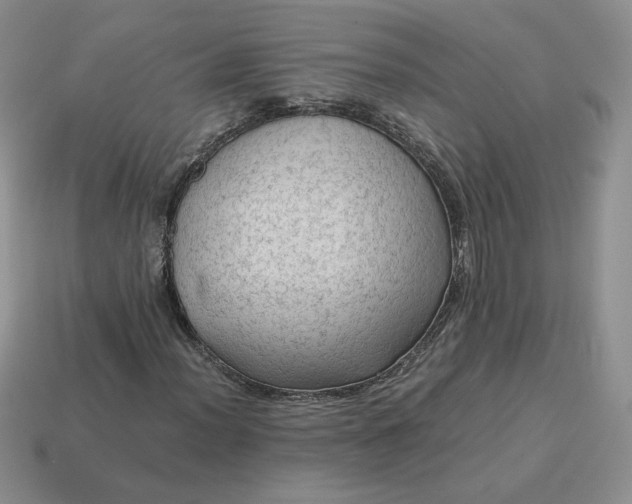 X0000115061012200911091441