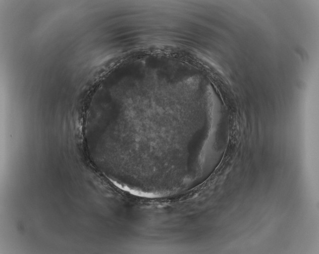 X0000115061013200911091442