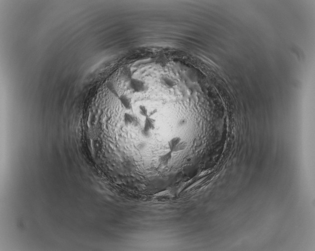 X0000115061014200911091442