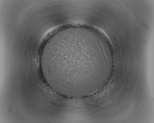 X0000115061016200911091442
