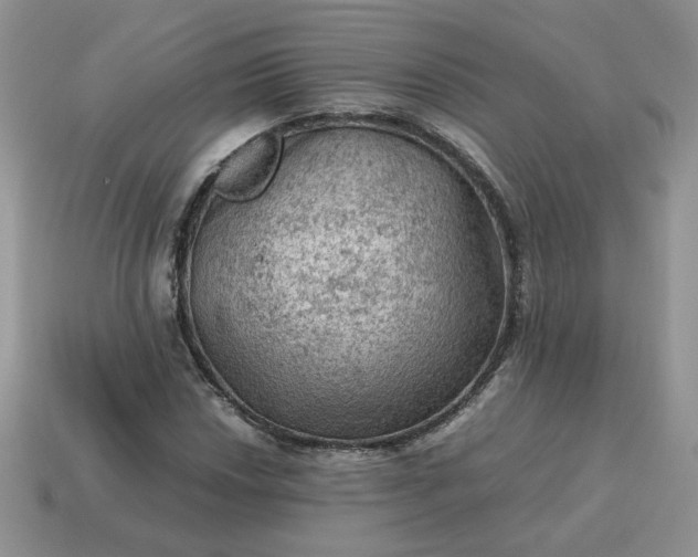 X0000115061018200911091442
