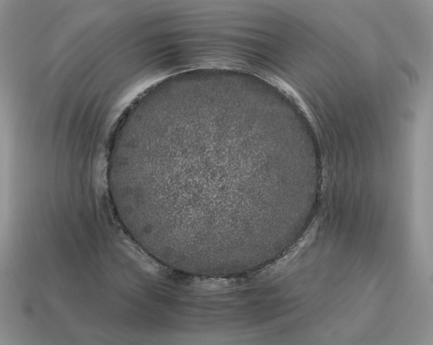 X0000115061019200911091442