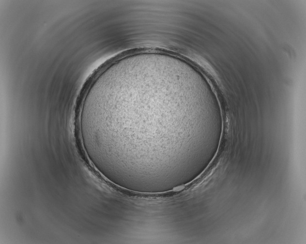 X0000115061020200911091442