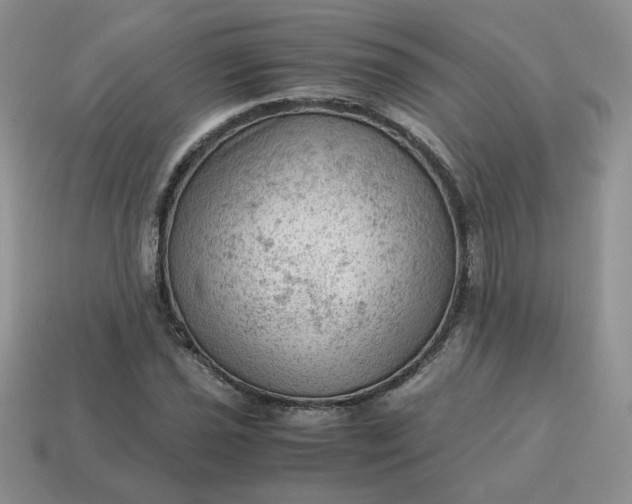 X0000115061021200911091442