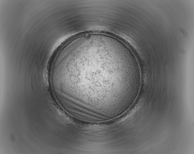 X0000115061022200911091442