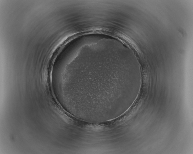 X0000115061023200911091442