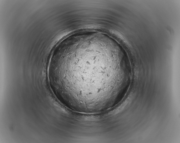 X0000115061025200911091442