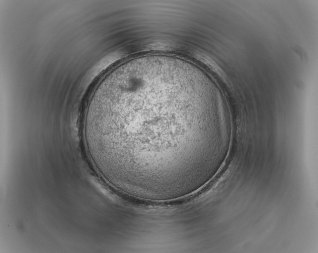 X0000115061026200911091442