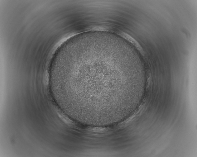 X0000115061027200911091442