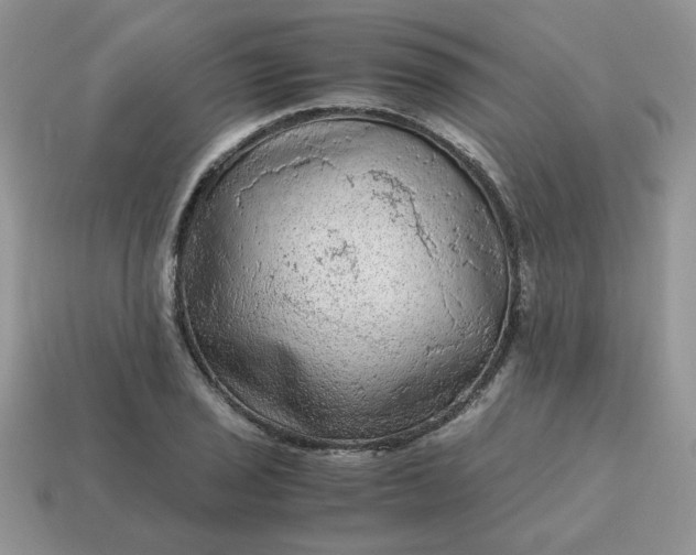 X0000115061029200911091442