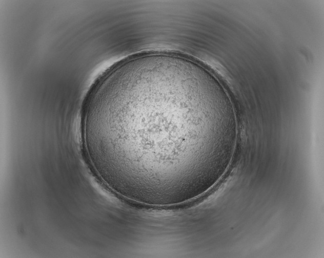 X0000115061030200911091442