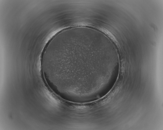 X0000115061031200911091442