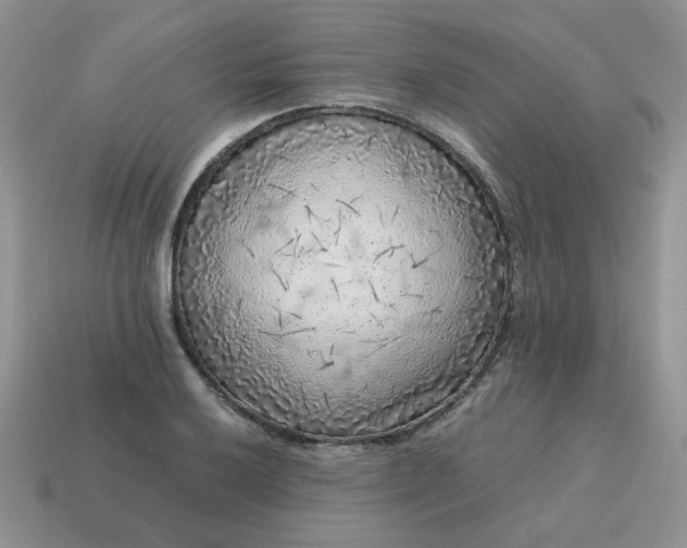 X0000115061032200911091442