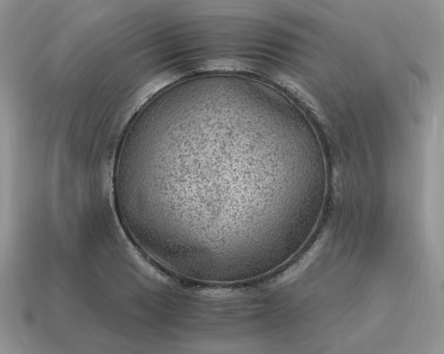 X0000115061033200911091442