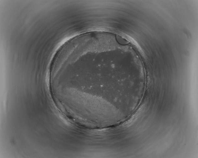 X0000115061035200911091442
