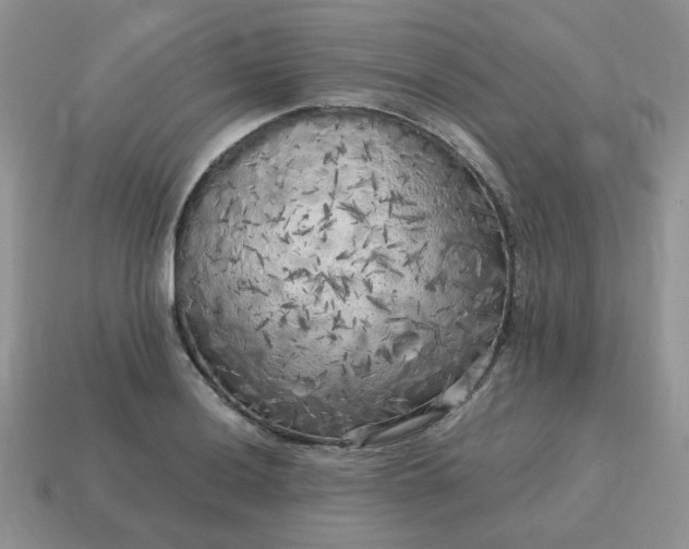 X0000115061036200911091442