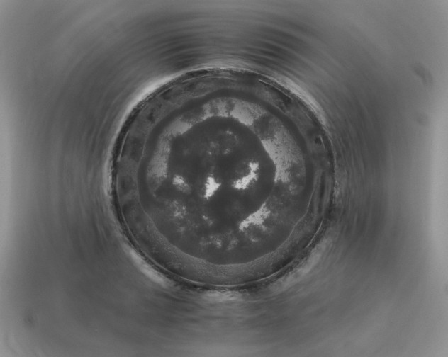 X0000115061037200911091442