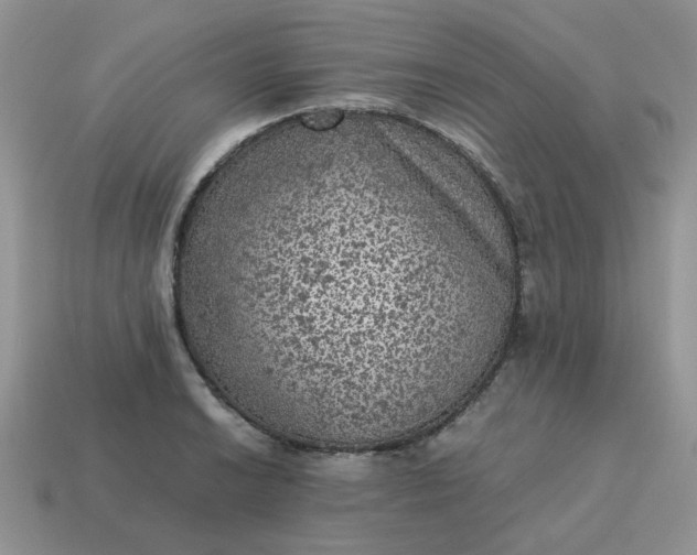 X0000115061038200911091442
