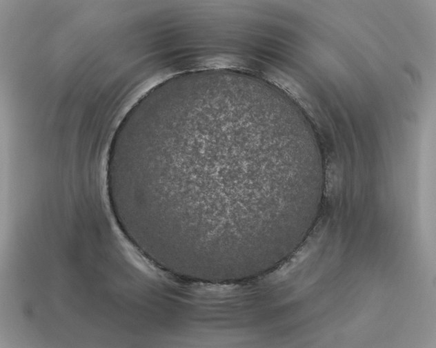 X0000115061039200911091442