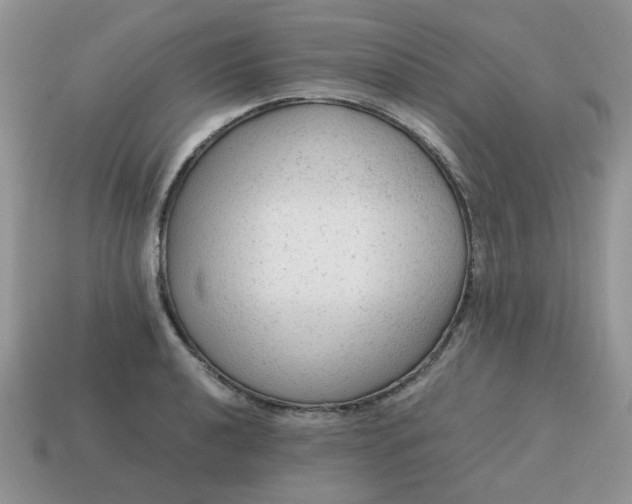 X0000115061040200911091442