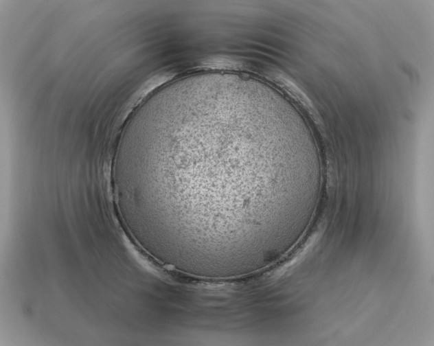 X0000115061041200911091442