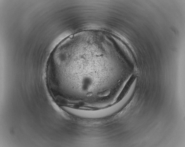 X0000115061042200911091442