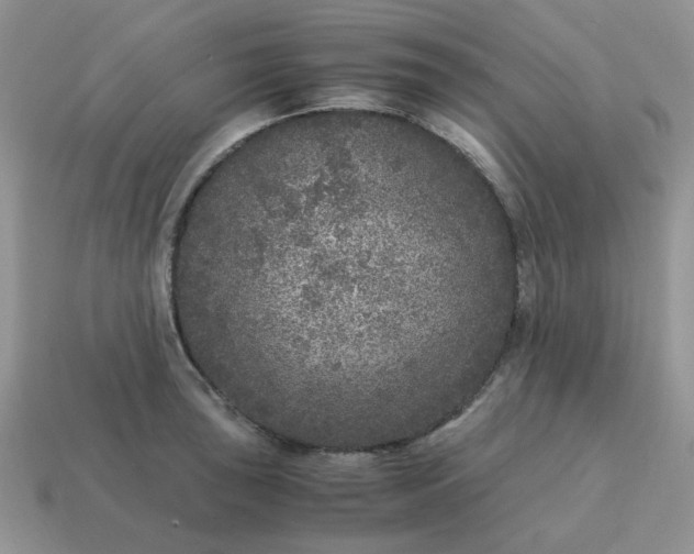 X0000115061043200911091442