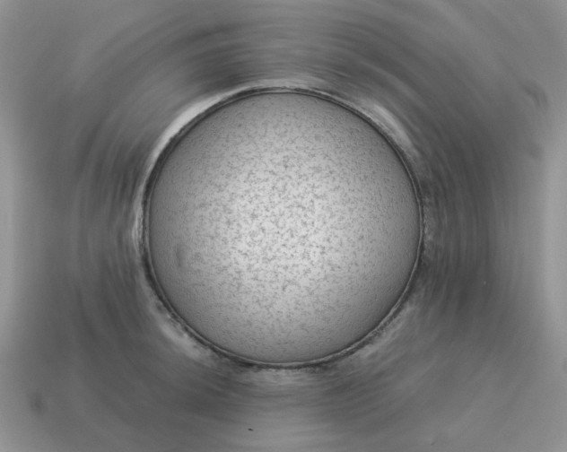 X0000115061044200911091442