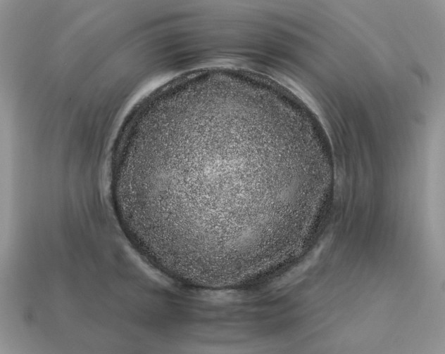 X0000115061045200911091442