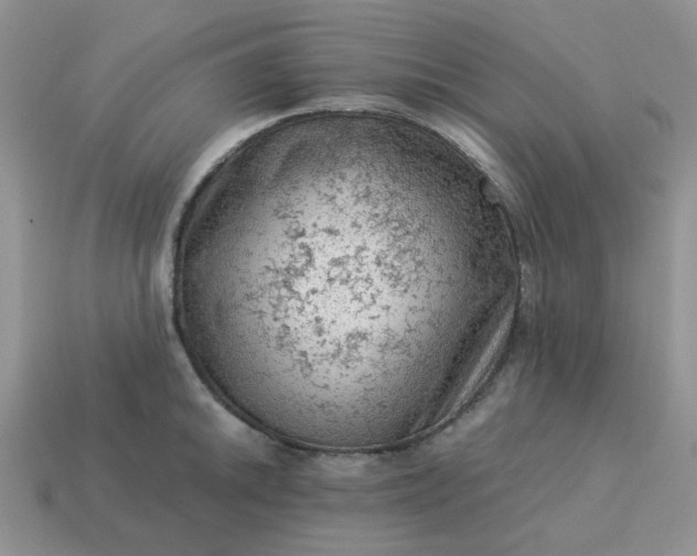 X0000115061046200911091442