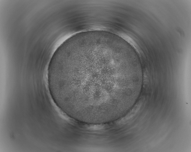 X0000115061047200911091442