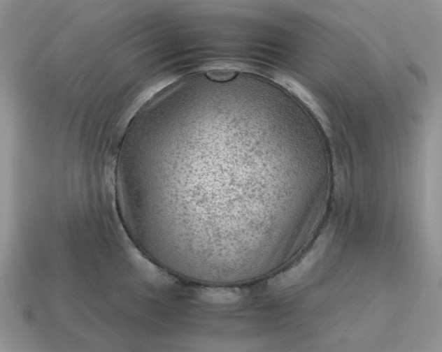 X0000115061049200911091442