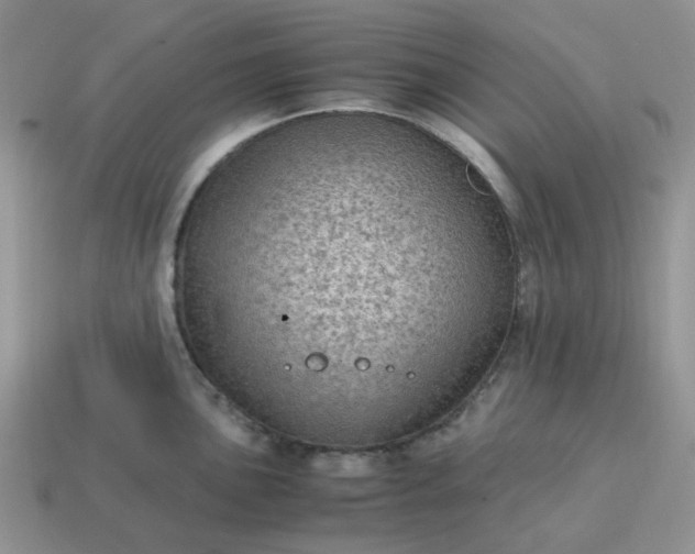 X0000115061051200911091442