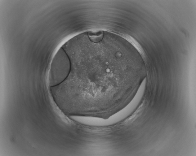 X0000115061052200911091442