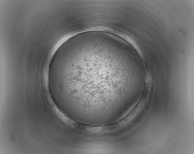 X0000115061054200911091442