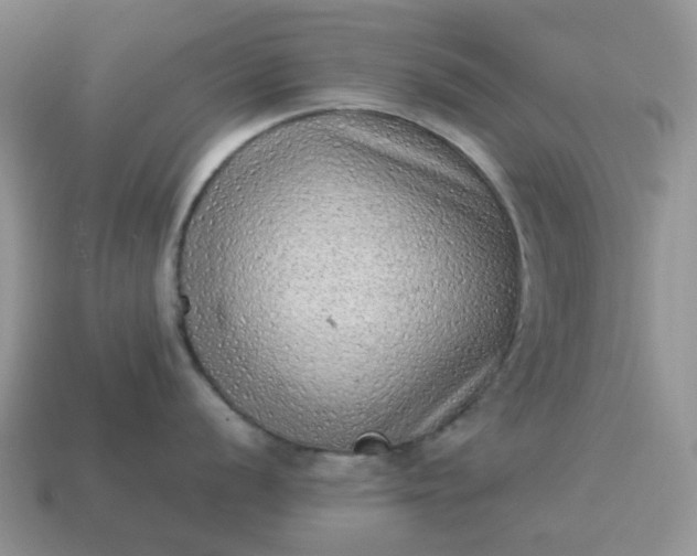 X0000115061056200911091442