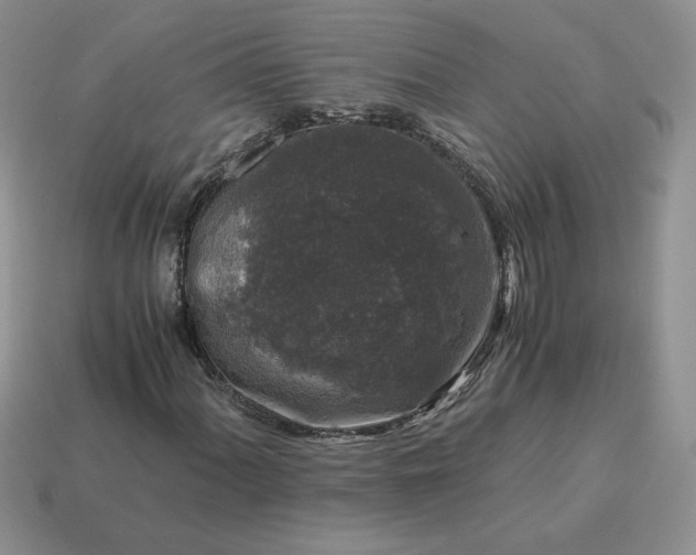 X0000115061060200911091441