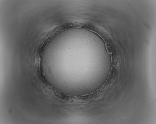 X0000115061061200911091441
