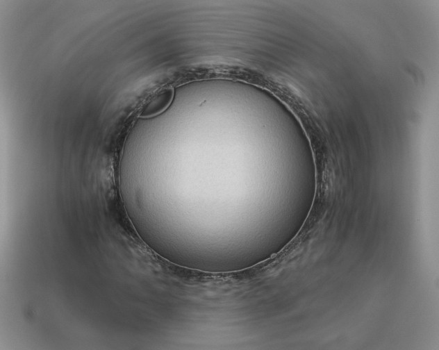 X0000115061062200911091441