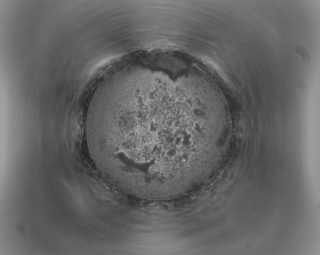 X0000115061063200911091441