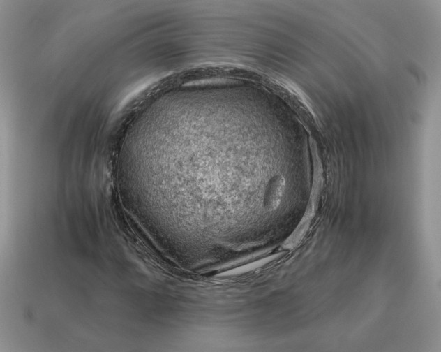 X0000115061064200911091441