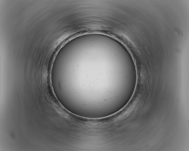 X0000115061065200911091441