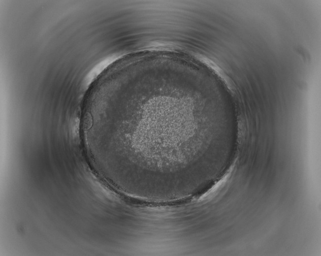 X0000115061066200911091441