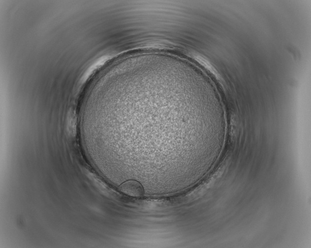X0000115061067200911091441