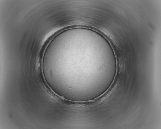 X0000115061070200911091441