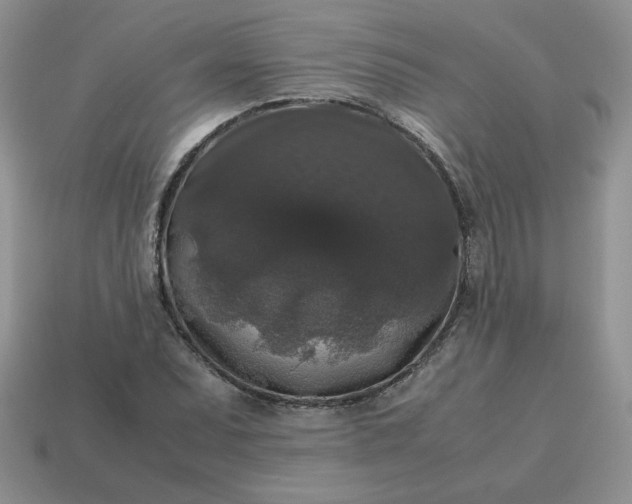X0000115061071200911091441