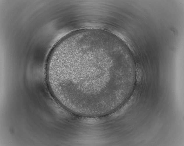 X0000115061074200911091441